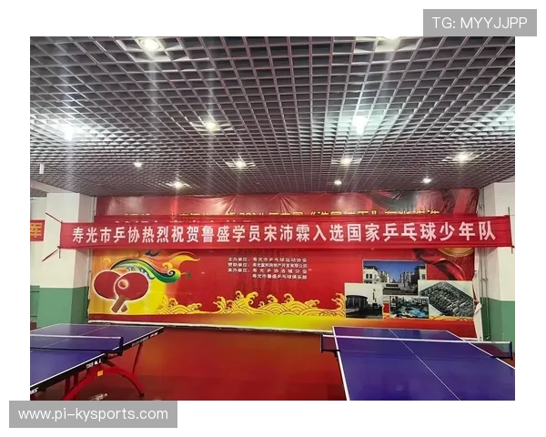 乒乓球协会推动青少年训练营标准化与师资配备，乒乓球培训中心 常年招生